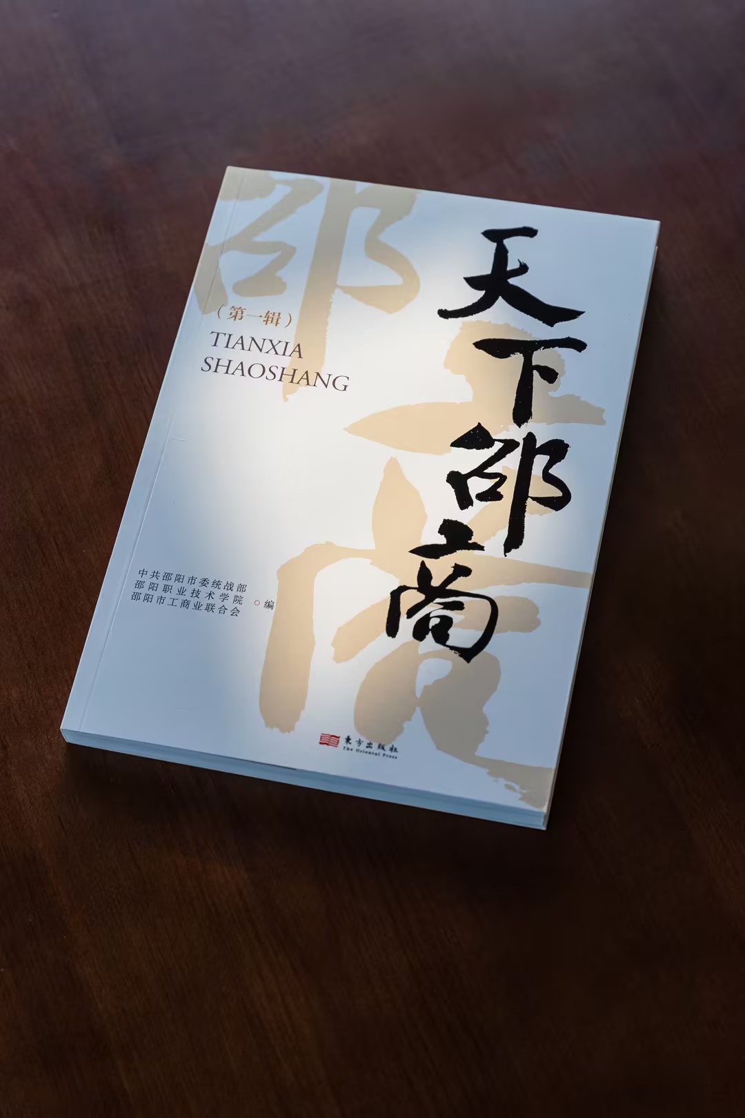 邵阳职业技术学院 邵阳职业技术学院